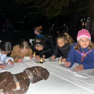 IMG-20261027-WA0110